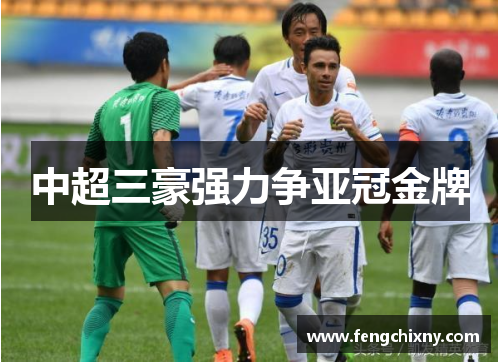 中超三豪强力争亚冠金牌